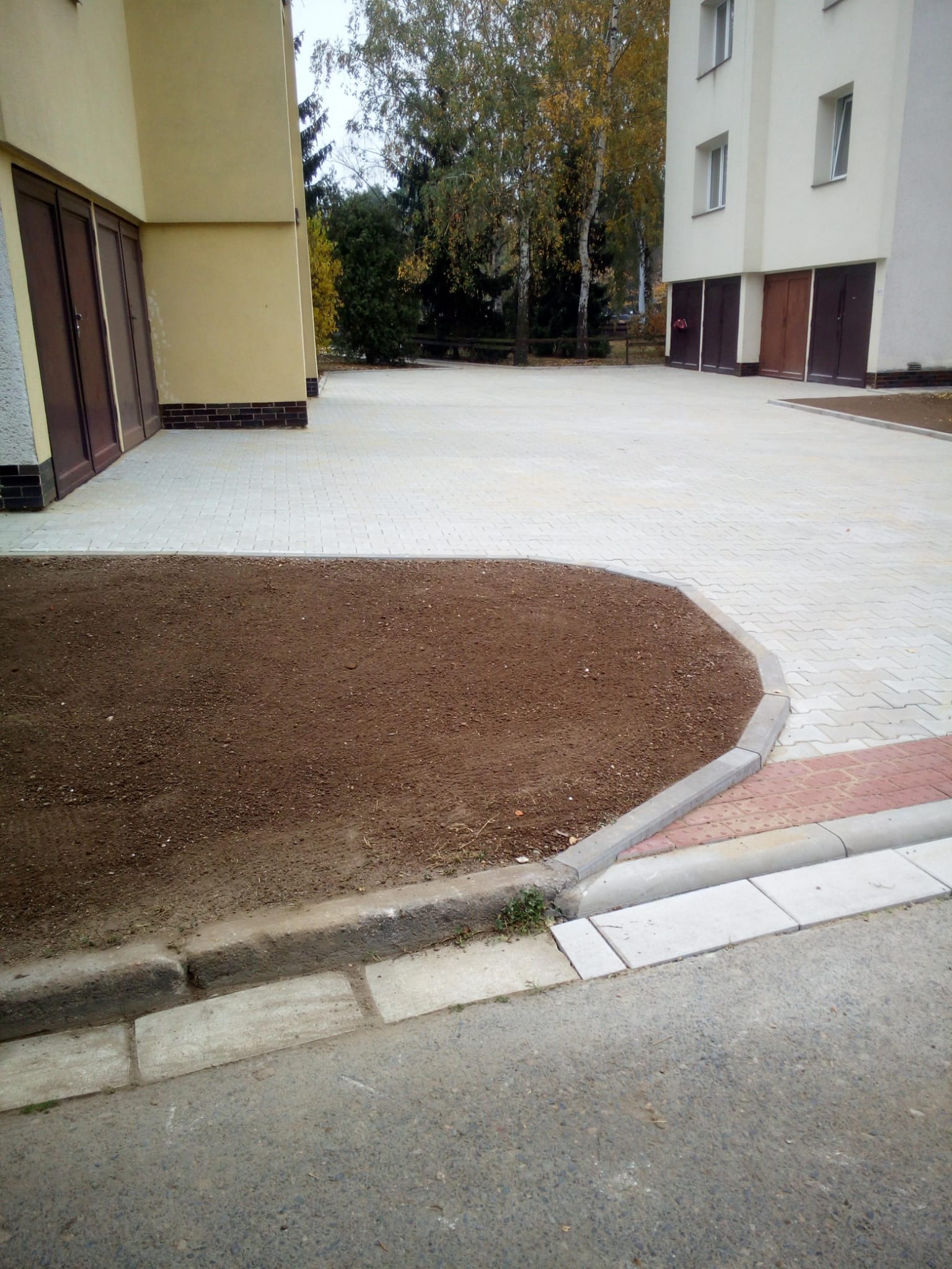 IMG-20220204-WA0019